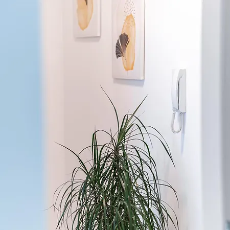 Luxury In Peaceful Split Neighborhood * ソリン
